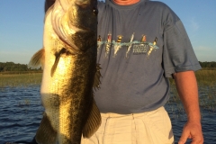 bass-499