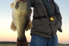 bass-511