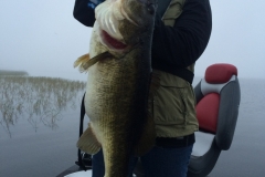 bass-516