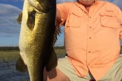 bass-522