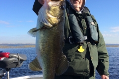 bass-528
