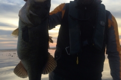 bass-533