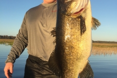 bass-540