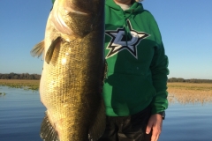 bass-541