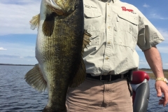 bass-543