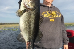bass-544