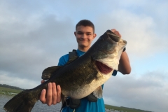 bass-549