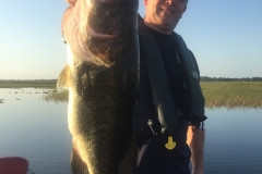 bass-551