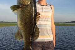 bass-552