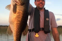 bass-553