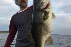 bass-560