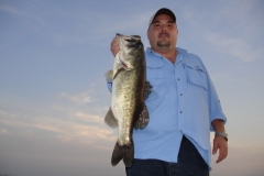 bass198