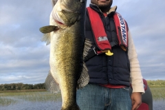 bass734