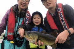bass736