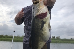 bass738