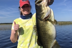 bass739