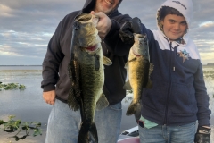 bass741