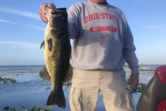 bass742