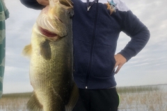 bass746