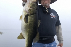 bass749