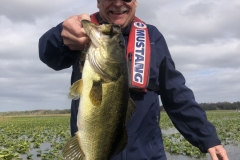 bass750