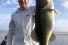 bass758