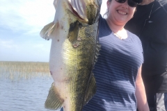 bass759