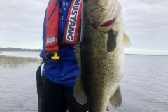bass761