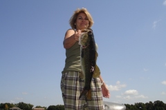 dsc00800
