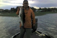 toho_largemouth